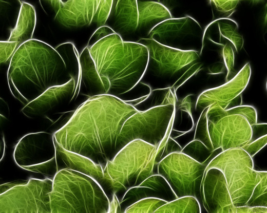 18731 (a): :1280x1024